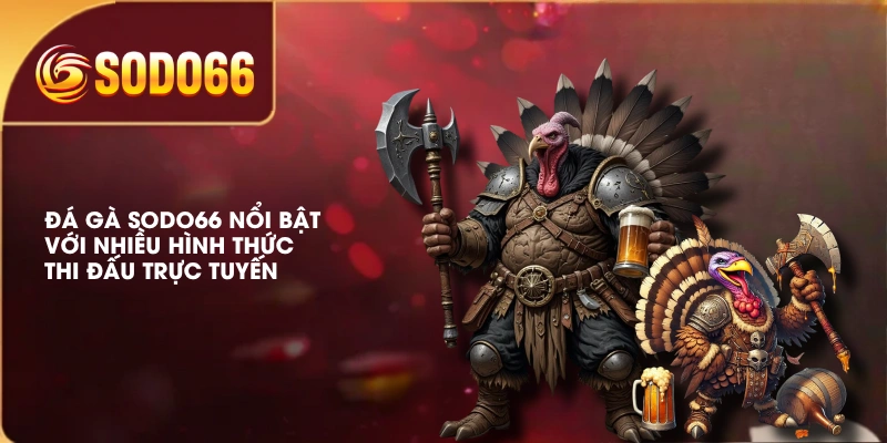 Đá gà SODO66 nổi bật với nhiều hình thức thi đấu trực tuyến 