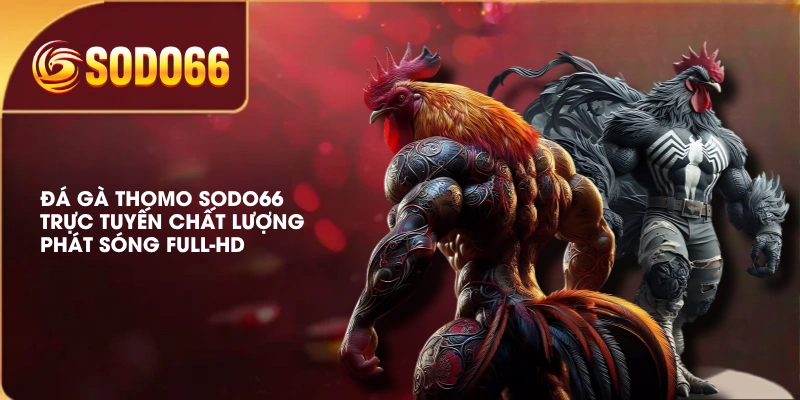 Đá Gà Thomo SODO66 Trực Tuyến Chất Lượng, Phát Sóng Full-HD