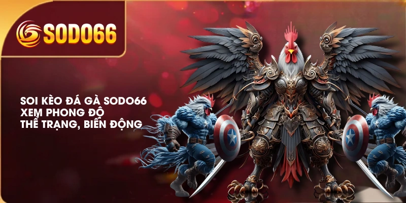 Soi Kèo Đá Gà SODO66 | Xem Phong Độ, Thể Trạng, Biến Động